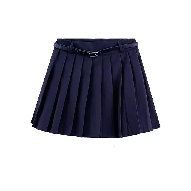 High Waist Plain Pleated Mini A-Line Skirt EE3