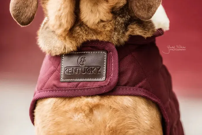 Kentucky Dog Coat Original